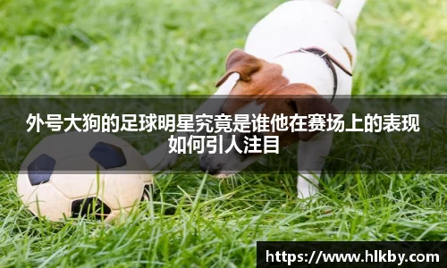 外号大狗的足球明星究竟是谁他在赛场上的表现如何引人注目